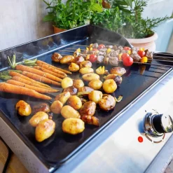 Best Little Balance Bicarosse Plancha Bordgrill