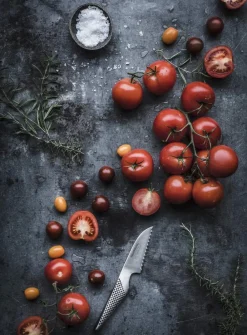 Clearance Global Classic GS-9 Tomatkniv