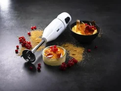 Sale Bamix Cordless PLUS Stavblender