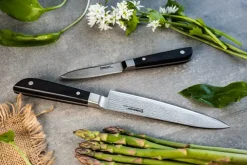 Hot Endeavour Discovery PRO Knivsæt - 2 dele
