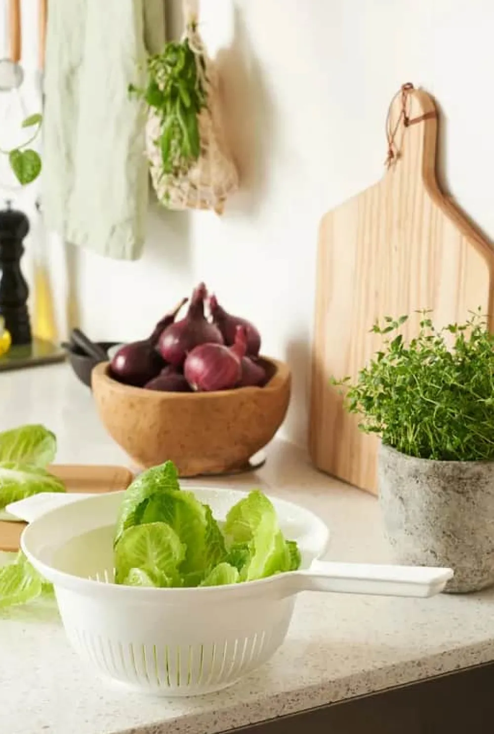 Outlet Gastromax Dørslag
