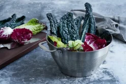 Clearance Timm Vladimir Kitchen Dørslag