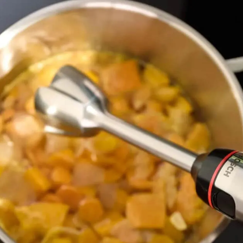New Bosch ErgoMaster S6 Stavblender