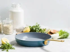 Greenpan Evolution Stegepande