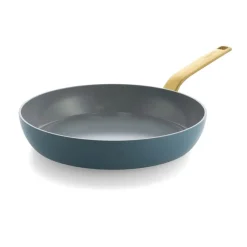 Greenpan Evolution Stegepande