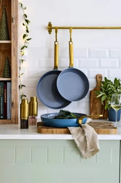 Greenpan Evolution Stegepande