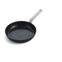 Greenpan Evolution Stegepande