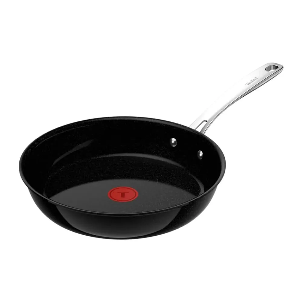 Tefal Excellence Plus Stegepande