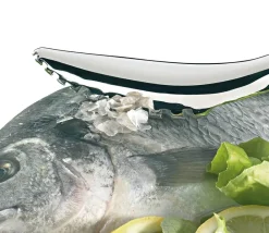 Sale Küchenprofi Fiskeskælskraber