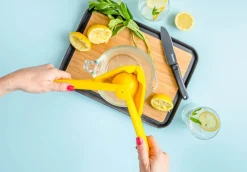 Outlet Dreamfarm Fluicer Citruspresser