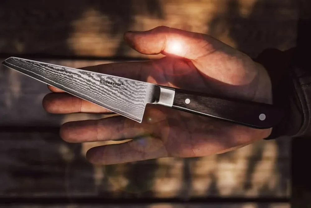 Best Endeavour Honesuki Kniv