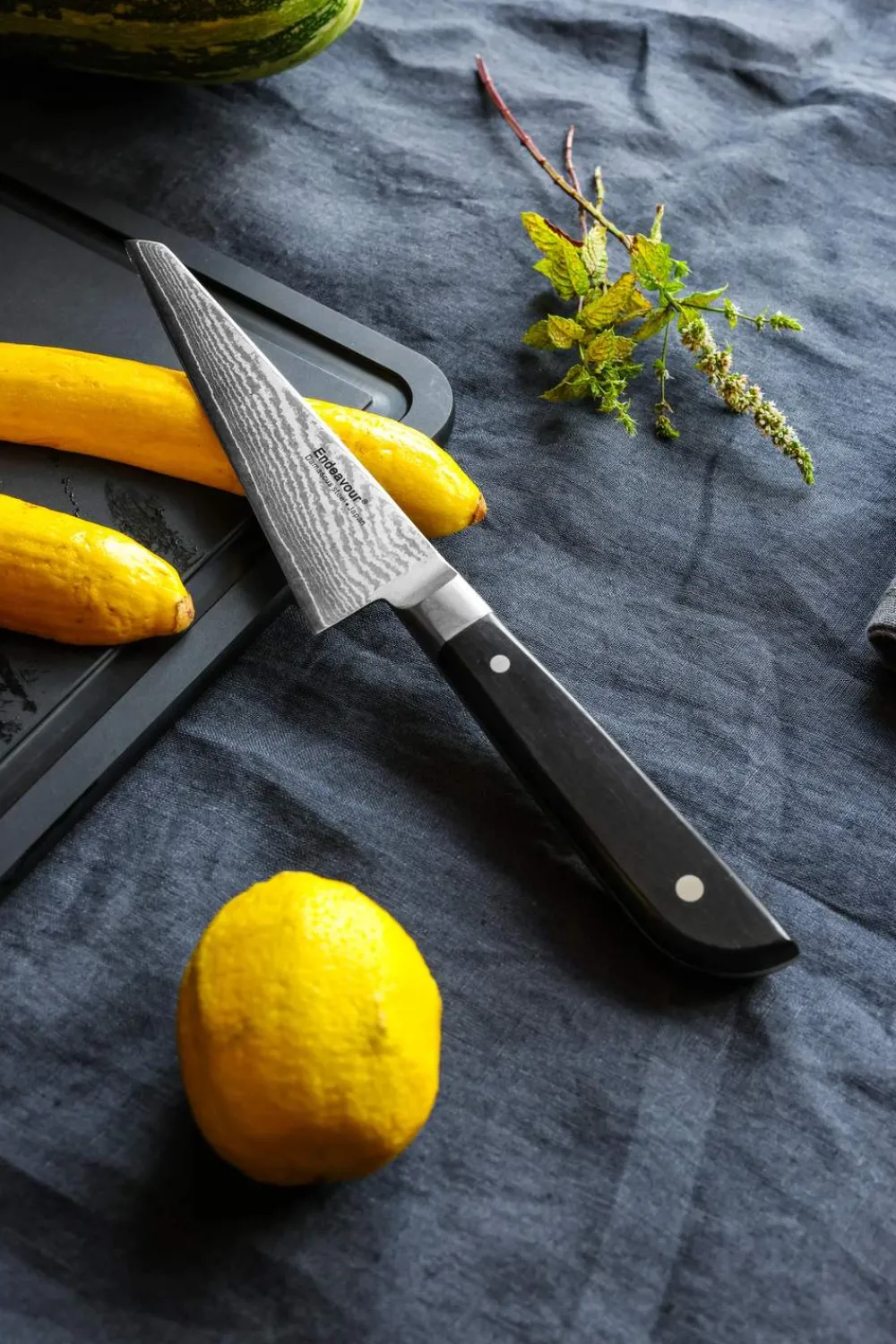Best Endeavour Honesuki Kniv