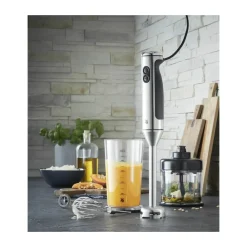 Online WMF Lineo 4in1 Stavblender
