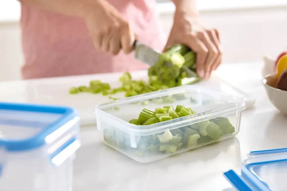 Online Tefal Masterseal Opbevaringsboks