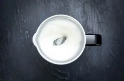 Online Gastronoma Mælkeskummer
