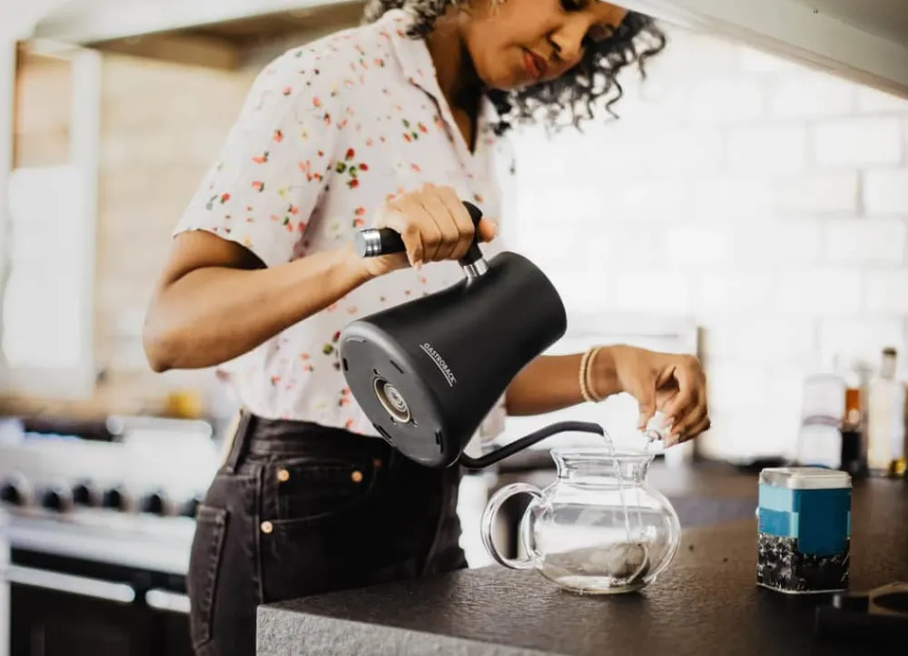Online GASTROBACK Pour Over Elkedel