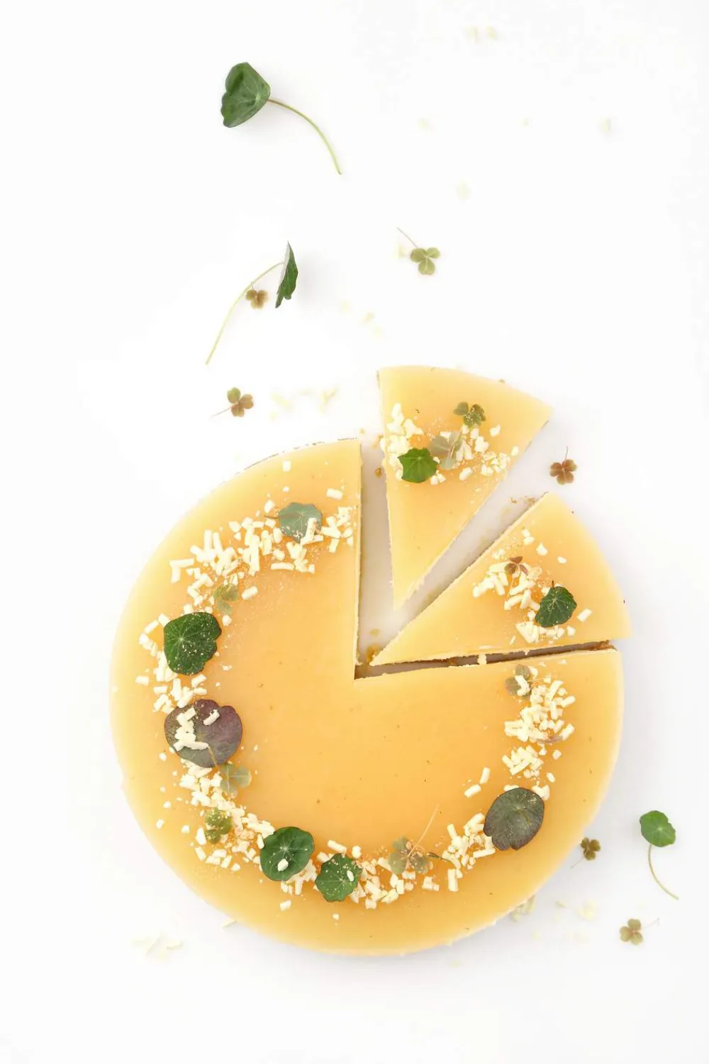 Online Cook & Baker Premium Springform