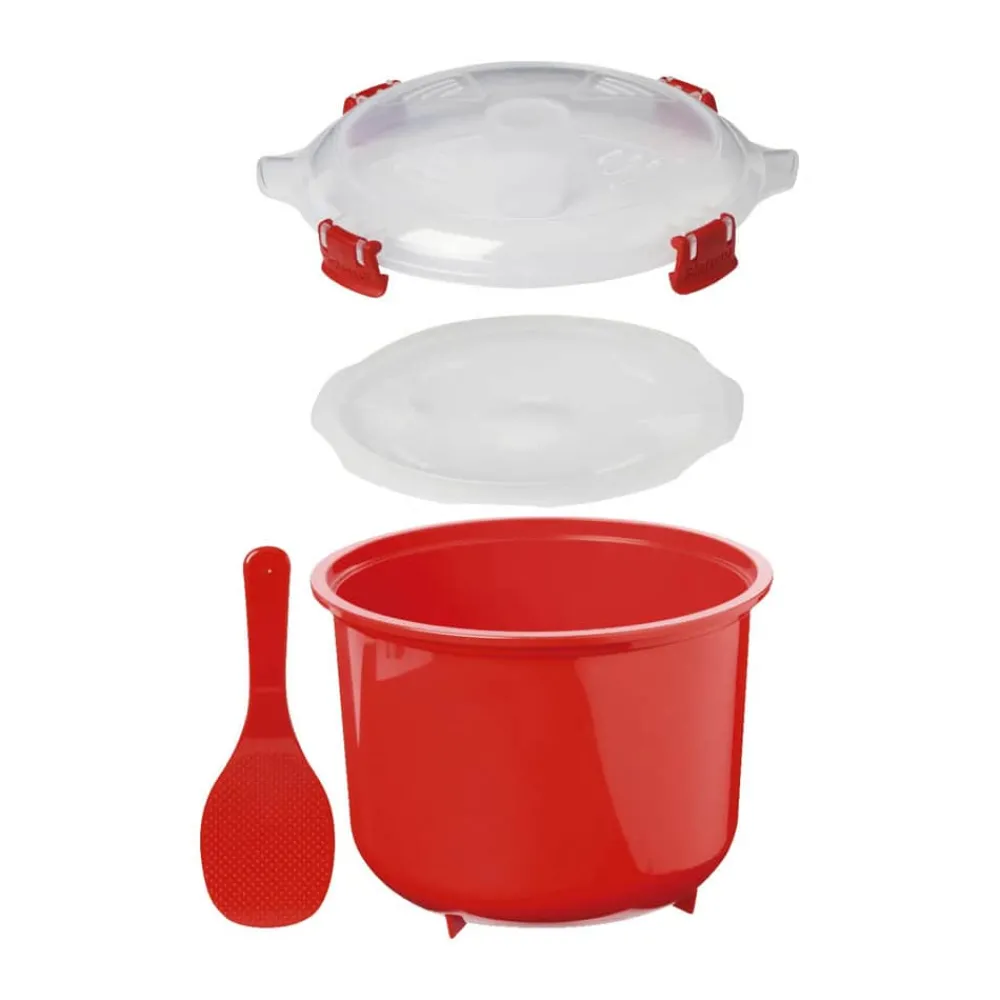 Online Sistema Ris steamer