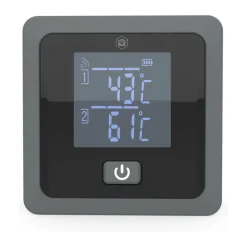 Online Nedis SmartLife Stegetermometer