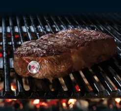 Hot Steak Champ Trådløs Stegetermometer